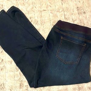 ⭐️ Terra & Sky Jeggings 2x (20w-22w)